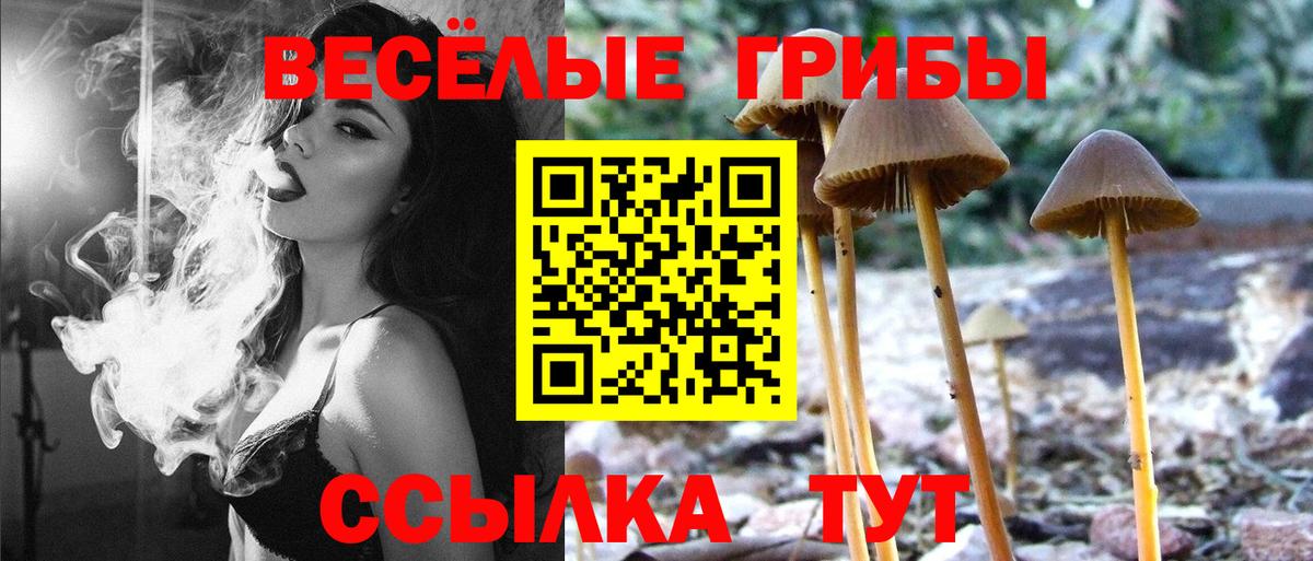 Галлюциногенные грибы MAGIC MUSHROOMS  Вход с VPN  Карпинск 