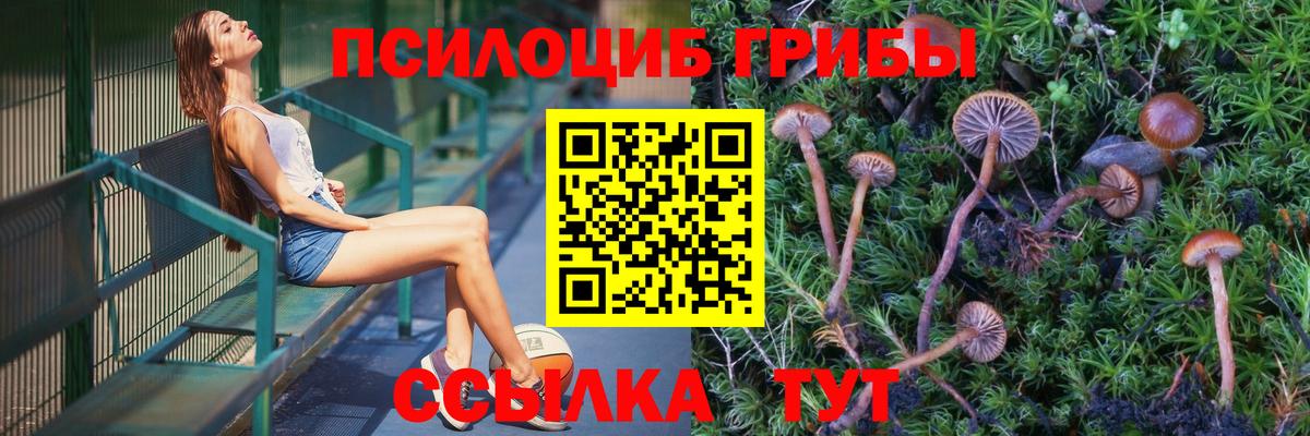 Псилоцибиновые грибы MAGIC MUSHROOMS Карпинск